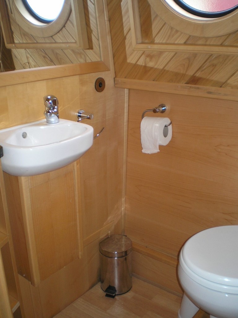 Shared Narrow Boat Torksey Picture 14