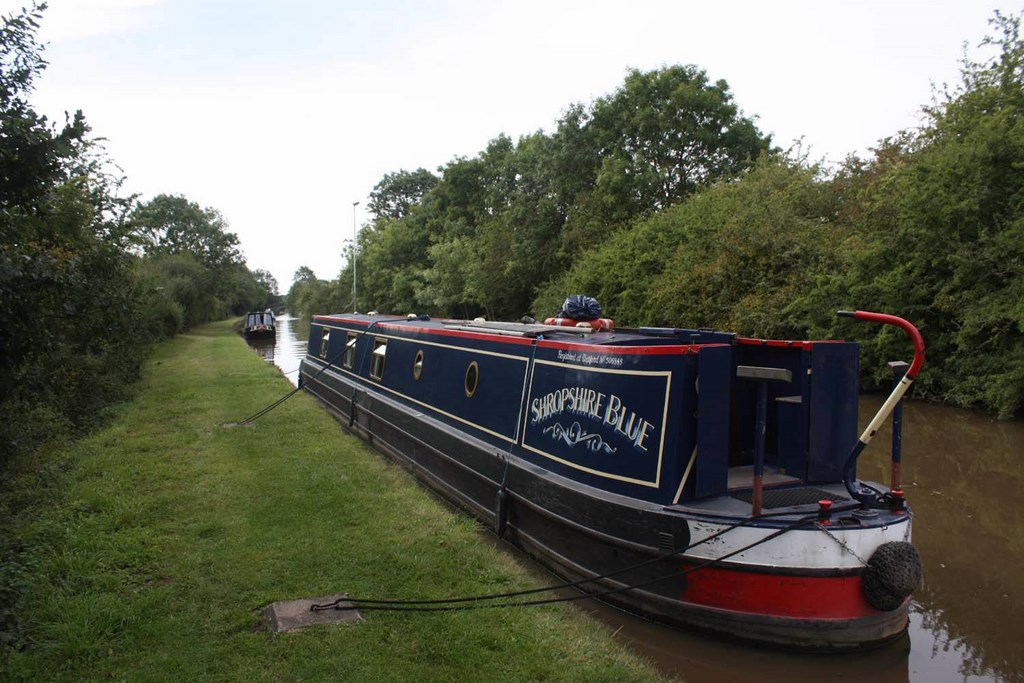 Shared Narrow Boat Shropshire Blue Picture 4