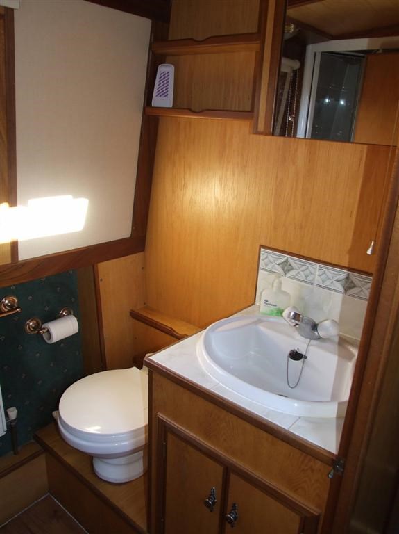 Shared Narrow Boat Verity Picture 8