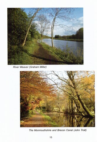 OwnerSnips Issue 31 Spring 2010 Page 15