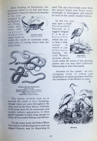 OwnerSnips Issue 13 Autumn 1998 Page 13