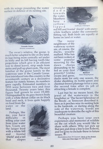 OwnerSnips Issue 14 Spring 1999 Page 23
