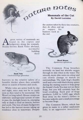 OwnerSnips Issue 16 Spring 2000 Page 21