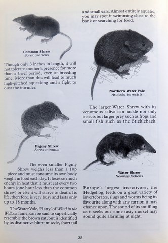 OwnerSnips Issue 16 Spring 2000 Page 22