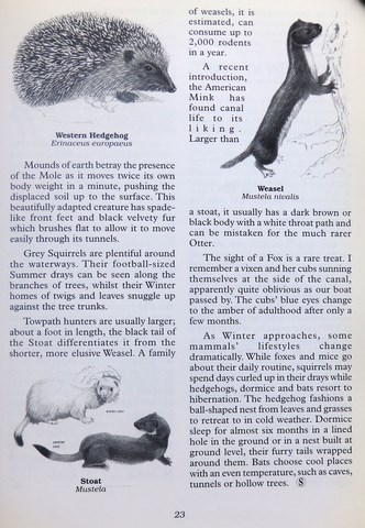 OwnerSnips Issue 16 Spring 2000 Page 23