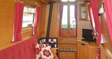 Shared Narrow Boat Willow Picture 5